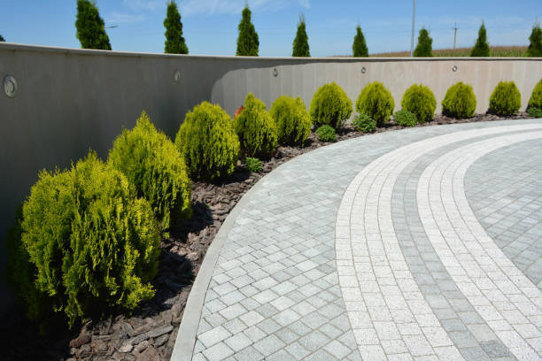 Best Custom Driveway Pavers  in Hayti, MO