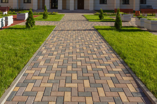 Best Custom Driveway Pavers  in Hayti, MO